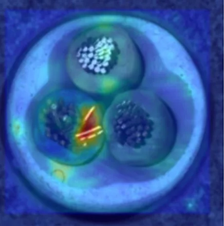 Cable / wire inspection - AI defect detection overlay