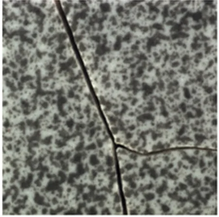 Marble / stone inspection - original image